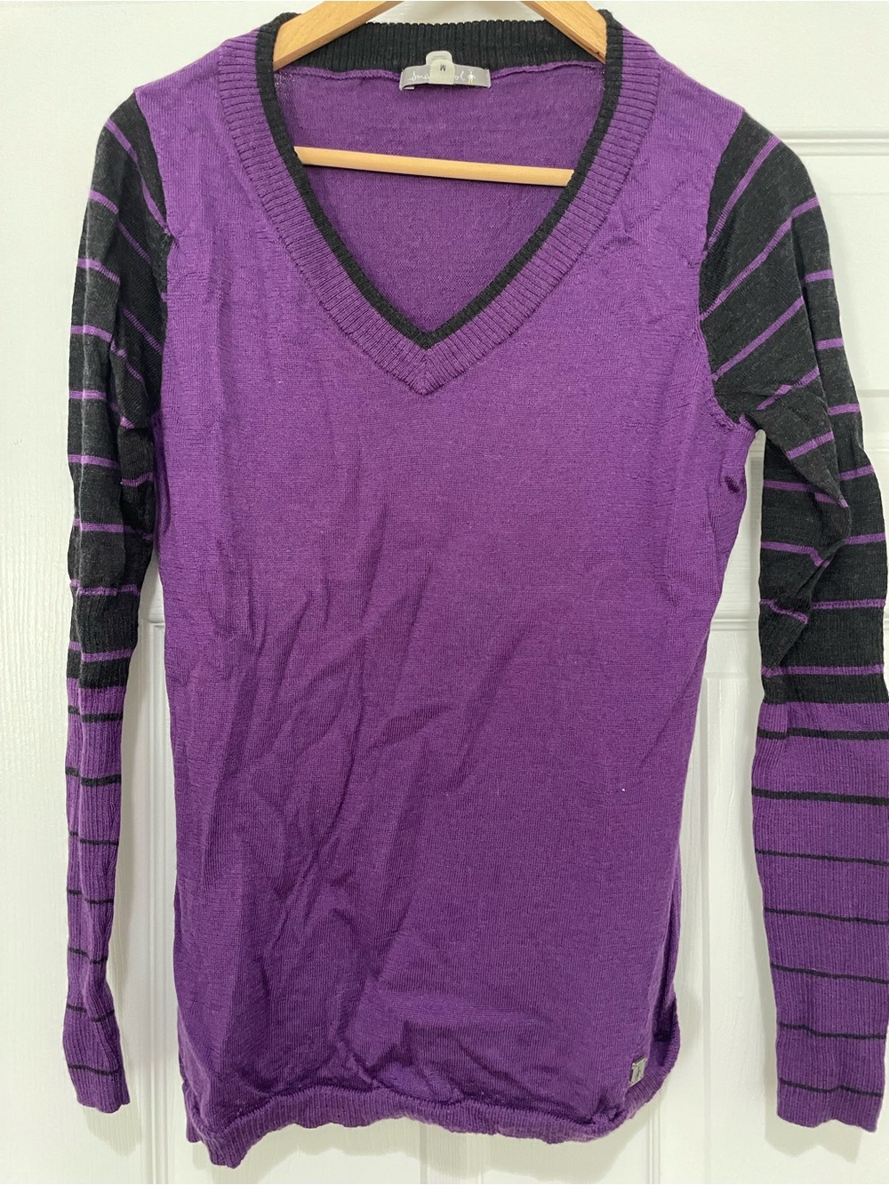 Smartwool Women's Purple V-Neck Striped Sleeve Sweater